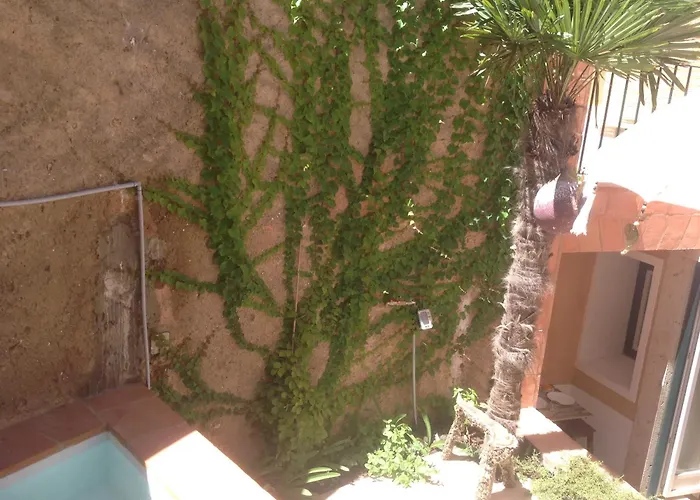 Domingues فيلة *