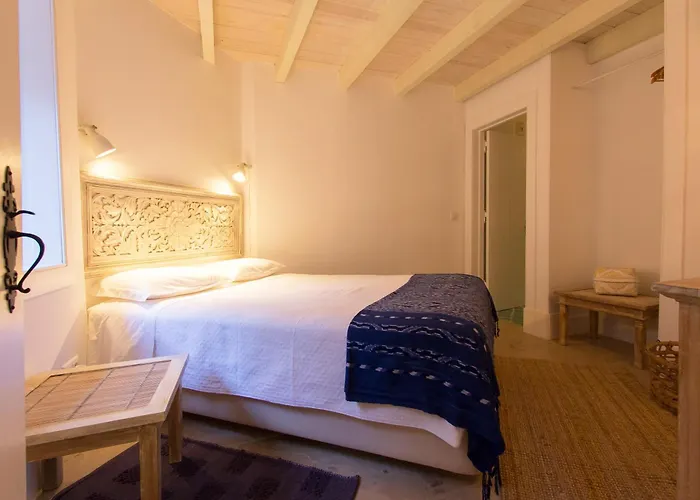 Domingues فيلة *