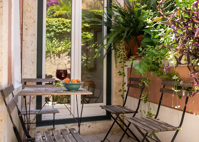 فيلة Domingues *